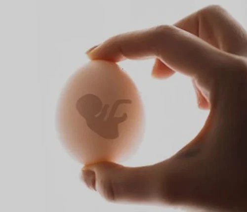 Donor egg programme — Carolina Conceptions in-house donor database